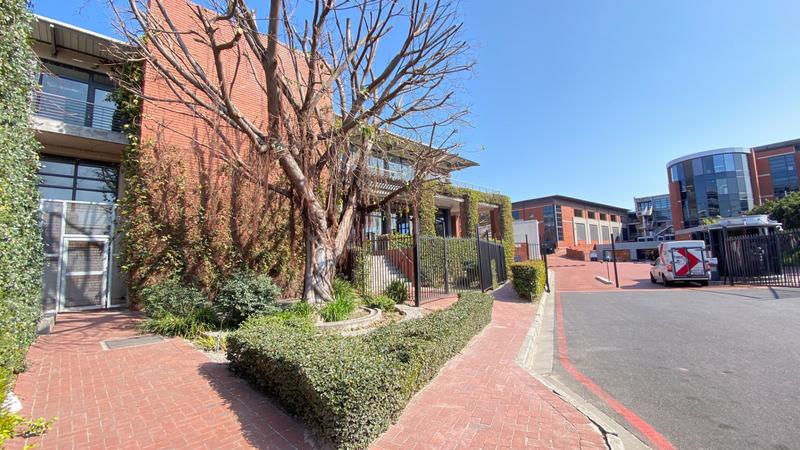 To Let commercial Property for Rent in Observatory Western Cape